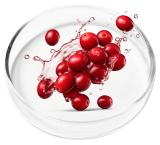 ingredient3